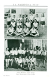 Page 36 Girls Baseball and Basketball
